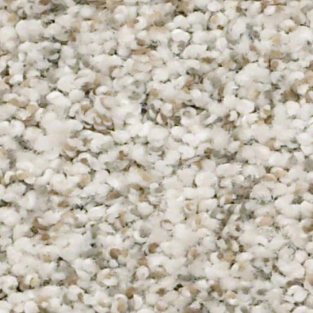 Shaw Make It Work Carpet in Ambiance, , large