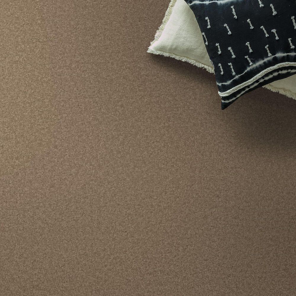 Anderson Tuftex Elegant Beauty Carpet in Latte, , large