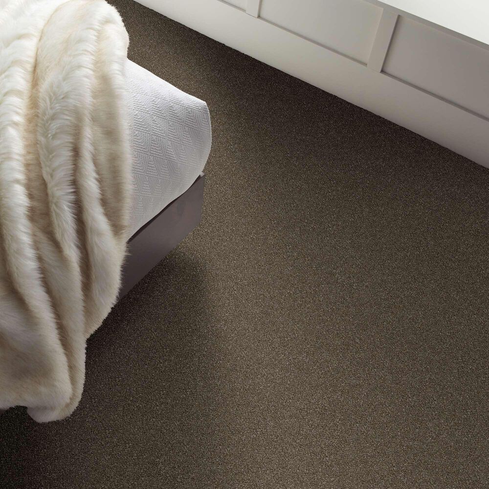 Shaw Without Limits II Carpet in Bountiful, , large