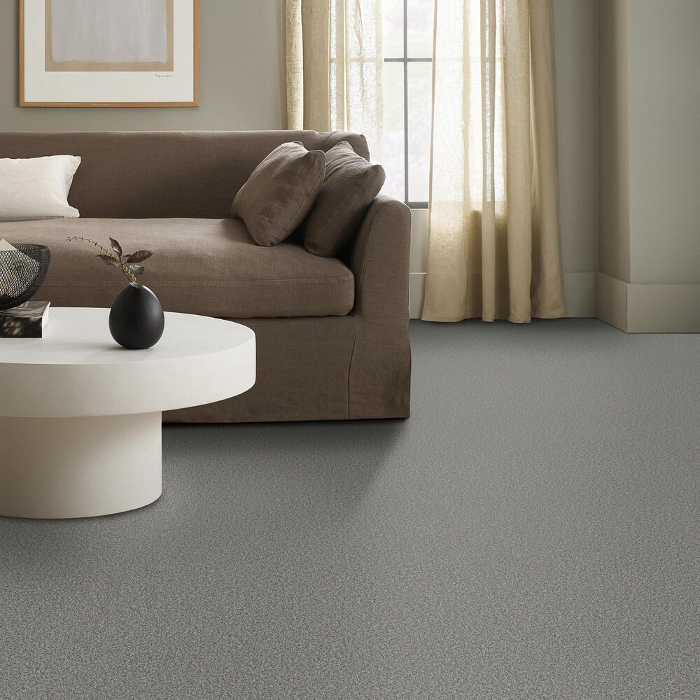 Anderson Tuftex Wyndham Estate Carpet in Pixel, , large