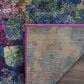 Safavieh Monaco MNC225D-10 10" x 14" Pink/Multi Area Rug, , large