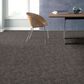 Philadelphia Caress Free Spirit Carpet in Grounded Gray, , large