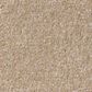 Shaw Luxuriant Carpet in Old Photograph, , large
