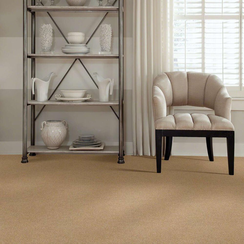 Anderson Tuftex Barracan Classic I Carpet in Manilla, , large