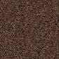 Shaw Las Cruces Carpet in Wood Grain, , large