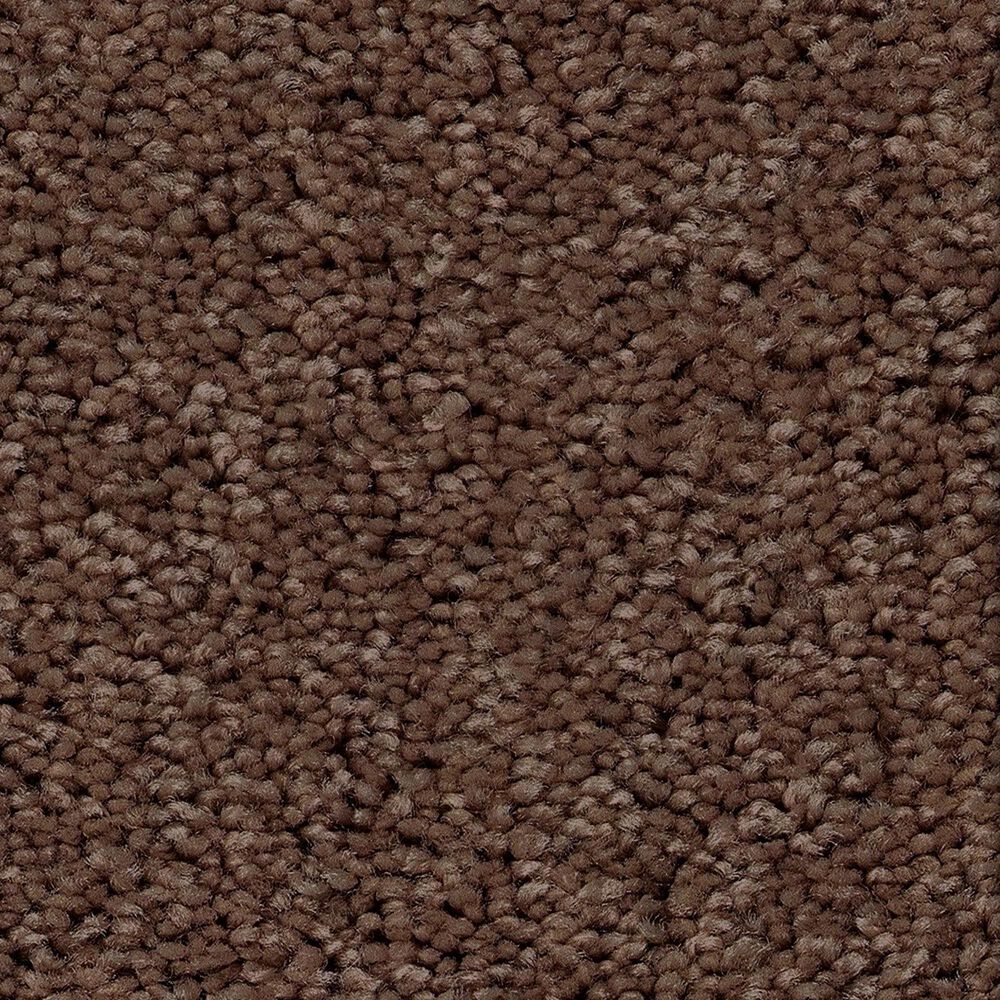 Shaw Las Cruces Carpet in Wood Grain, , large