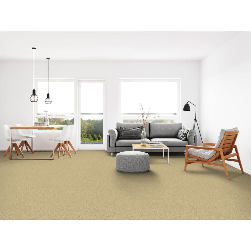 Dixie Home Simplicity Carpet in Mineral, , large