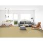 Dixie Home Simplicity Carpet in Mineral, , large