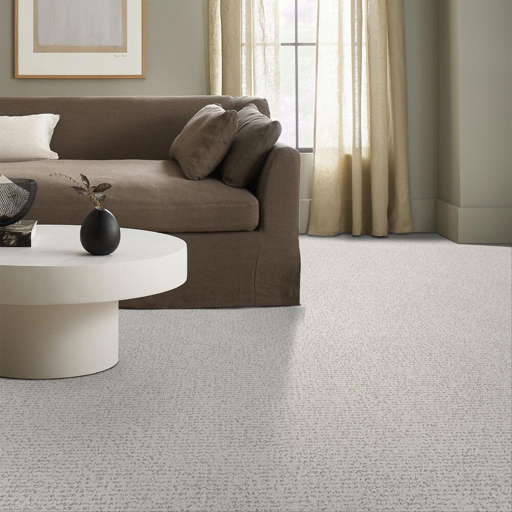 Anderson Tuftex Tangent Carpet in First Frost, , large