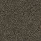 Shaw Making The Rules II 15" Carpet in River Walk, , large