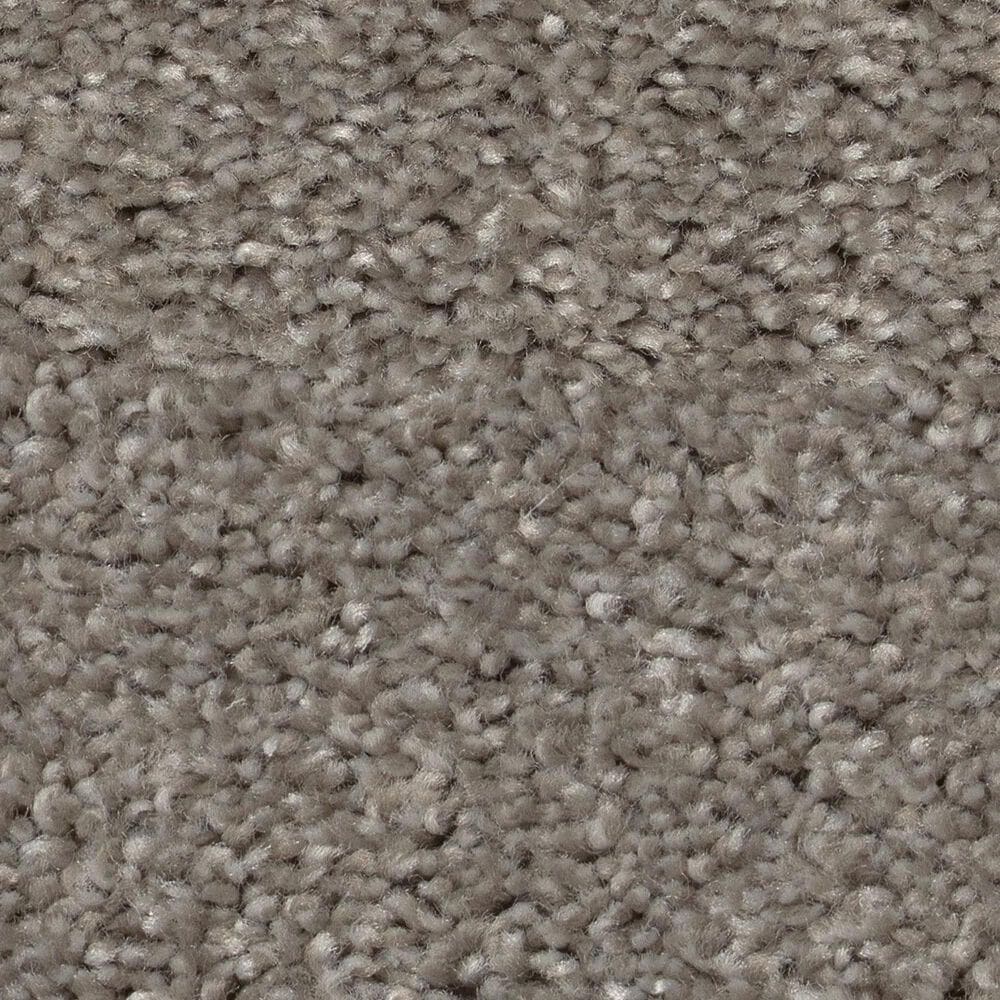 Shaw Hot Topic Carpet in Winter Birch, , large