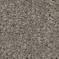 Shaw Hot Topic Carpet in Winter Birch, , large