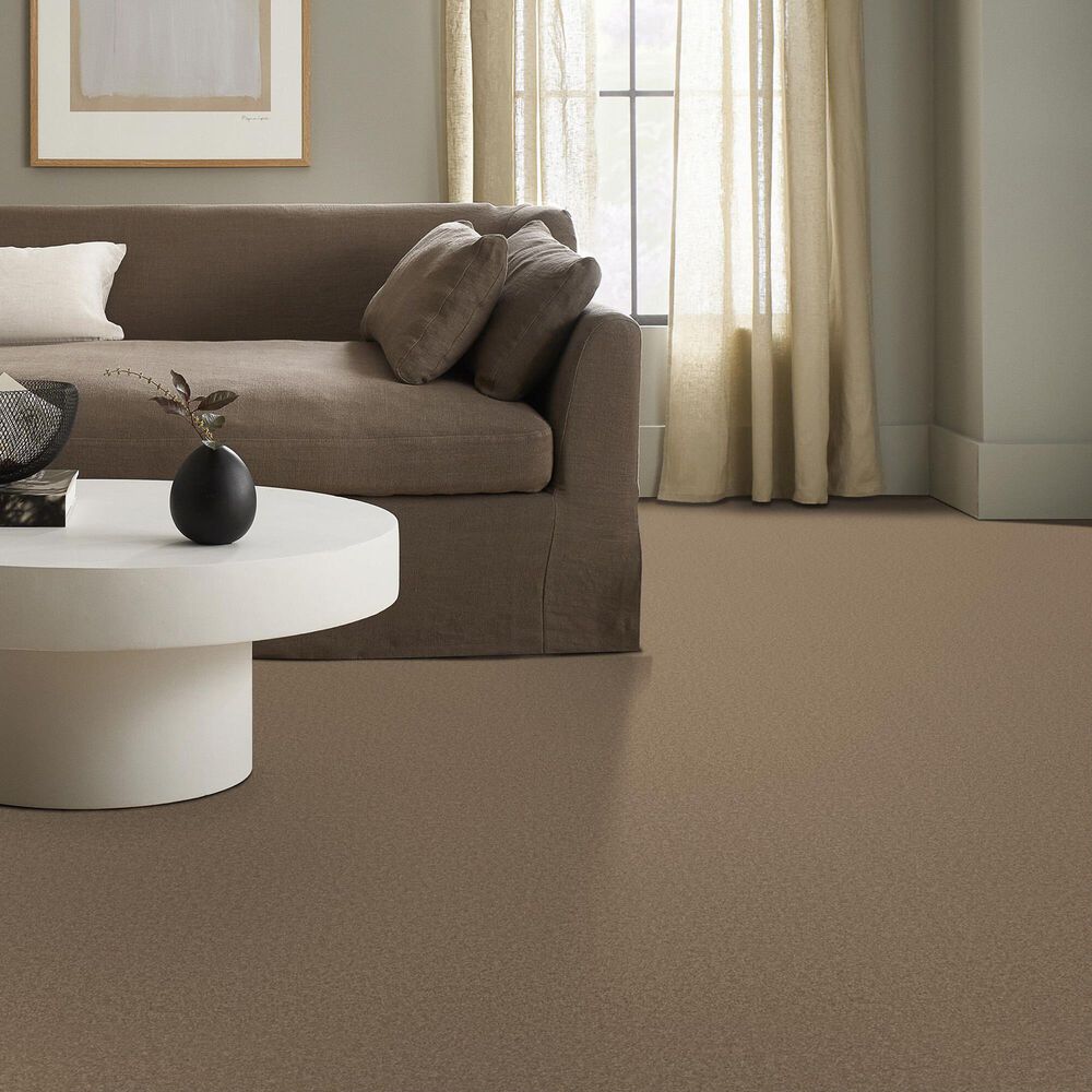 Anderson Tuftex Elegant Beauty Carpet in Latte, , large