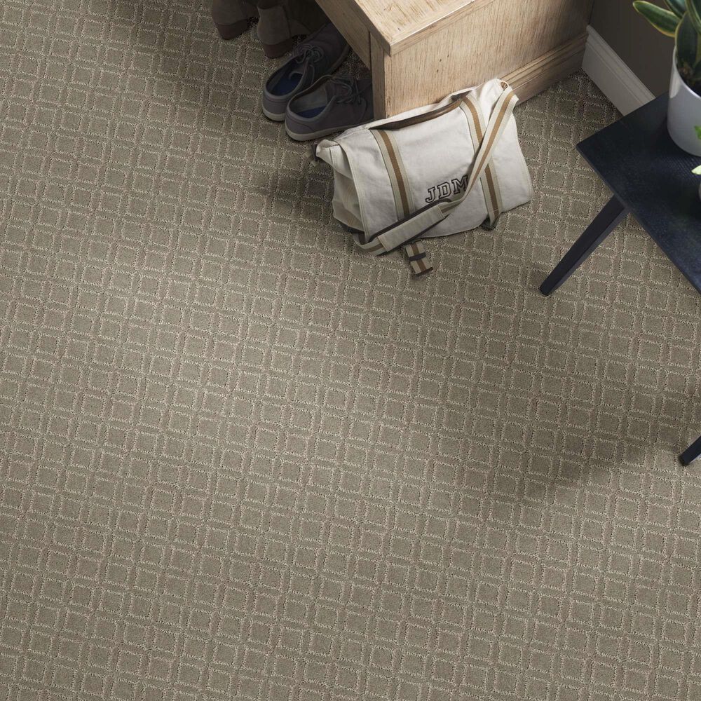 Anderson Tuftex Renoir Carpet in Intrigue, , large
