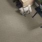 Anderson Tuftex Renoir Carpet in Intrigue, , large