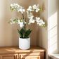 HOMLUX 26" Artificial Orchid Plant with 5 Stems Decorative and Ceramic Pot in White, , large