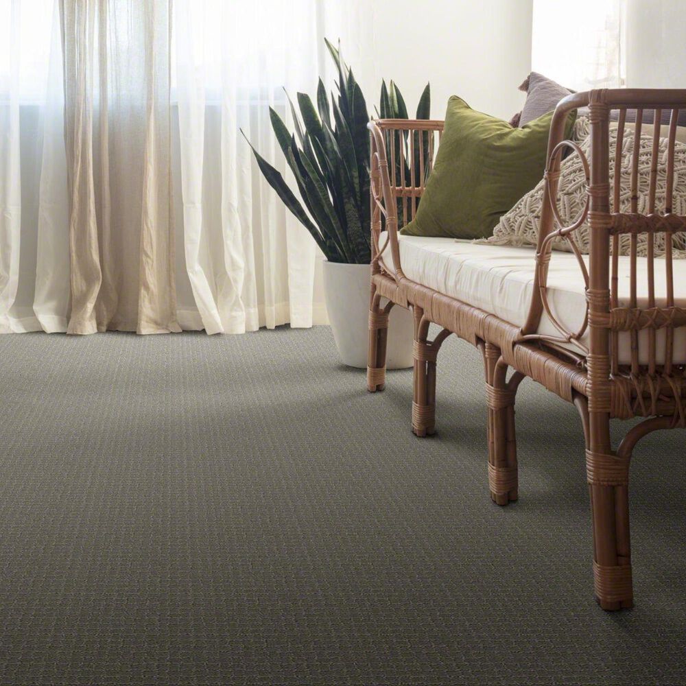 Anderson Tuftex Pawstruck Carpet in Portland, , large