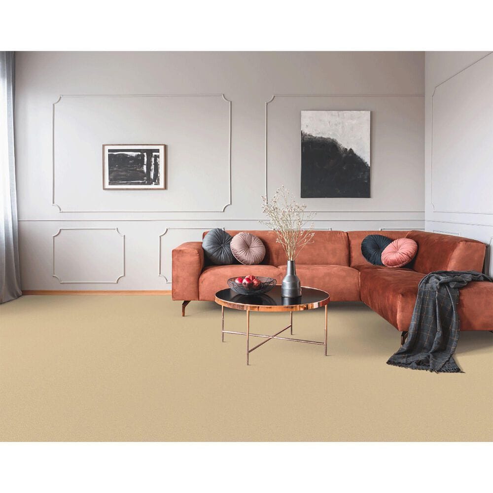 Dixie Home Neverland Carpet in Fairmont, , large