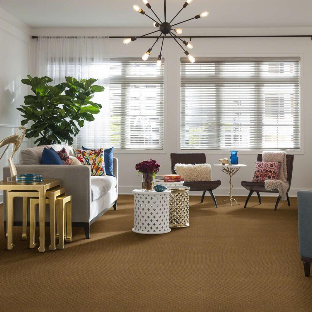 Anderson Tuftex Off Leash Carpet in Golden Straw, , large