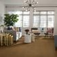Anderson Tuftex Off Leash Carpet in Golden Straw, , large