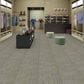 Shaw Shifting Gears 18" x 36" Carpet Tile in Gear, , large