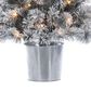 The Gerson Company 4.5" Potted Pre-Lit Flocked Pine Artificial Needle Boise Pine with White Lights in Green, , large
