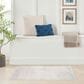 Nourison Astra Machine Washable 2"2" x 4" Ivory Area Rug, , large