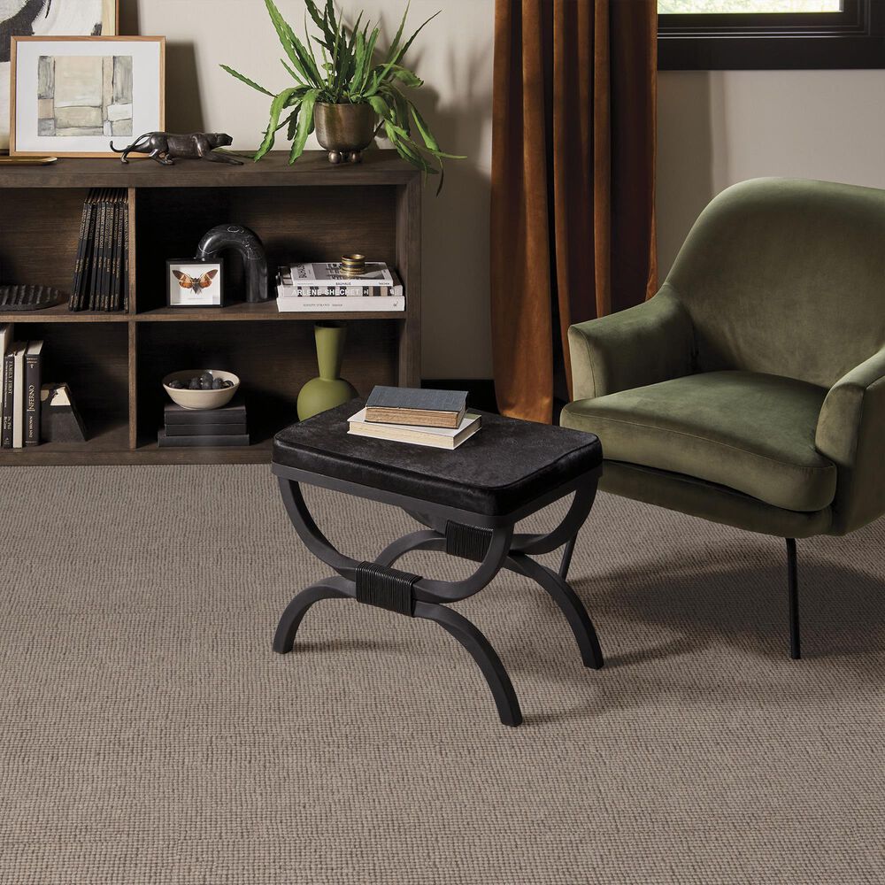Anderson Tuftex Touchstone Carpet in Twig, , large
