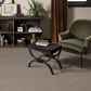 Anderson Tuftex Touchstone Carpet in Twig, , large