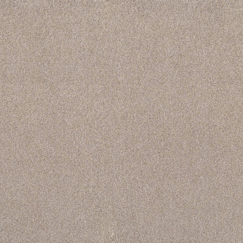 Shaw Live On Comfort Carpet in Warm Sand, , large