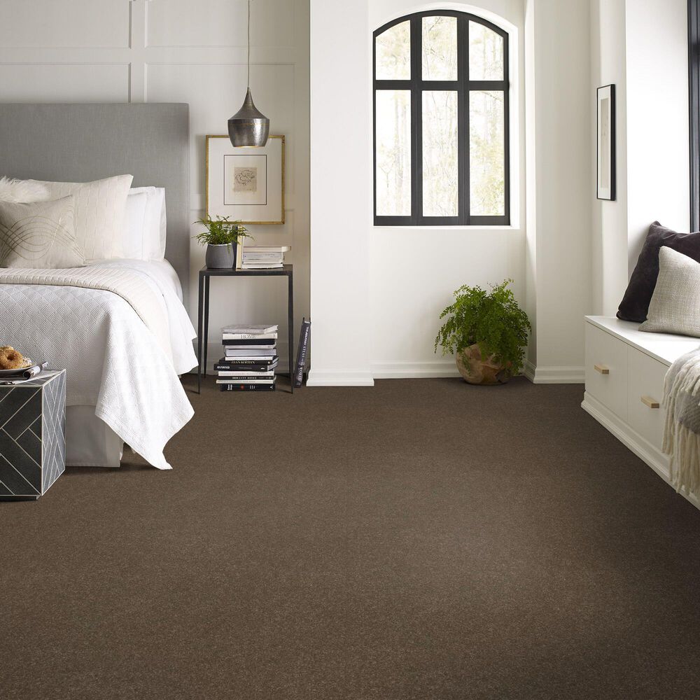 Shaw Hard At Play Iii Carpet in Mission Ridge, , large
