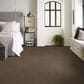 Shaw Hard At Play Iii Carpet in Mission Ridge, , large
