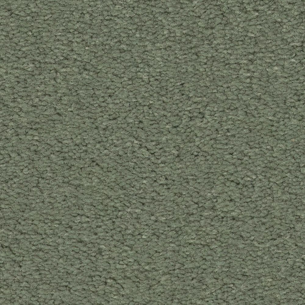 Anderson Tuftex Finery Carpet in Valley View, , large
