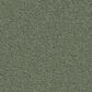 Anderson Tuftex Finery Carpet in Valley View, , large