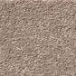 Shaw Simply the Best Momentum II Carpet in Canyon Buff, , large