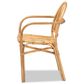 Baxton Studio Tugera Arm Chair in Natural Brown, , large