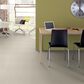 Shaw Well Grounded II 12" Carpet in Minimalist, , large