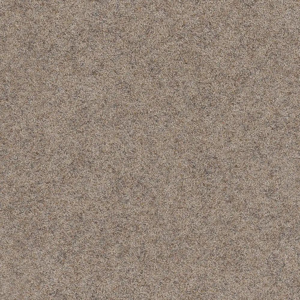 Dream Weaver Rustic Retreat II Carpet in Barn Light, , large