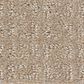 Shaw Transform Carpet in Fresh Baked, , large