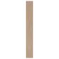 COREtec Coastal Luxe Vanilla Grove Maple 9" x 72" Luxury Vinyl Plank, , large
