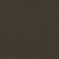 Shaw Awaken Spirit II 15" Carpet in Wood Grain, , large
