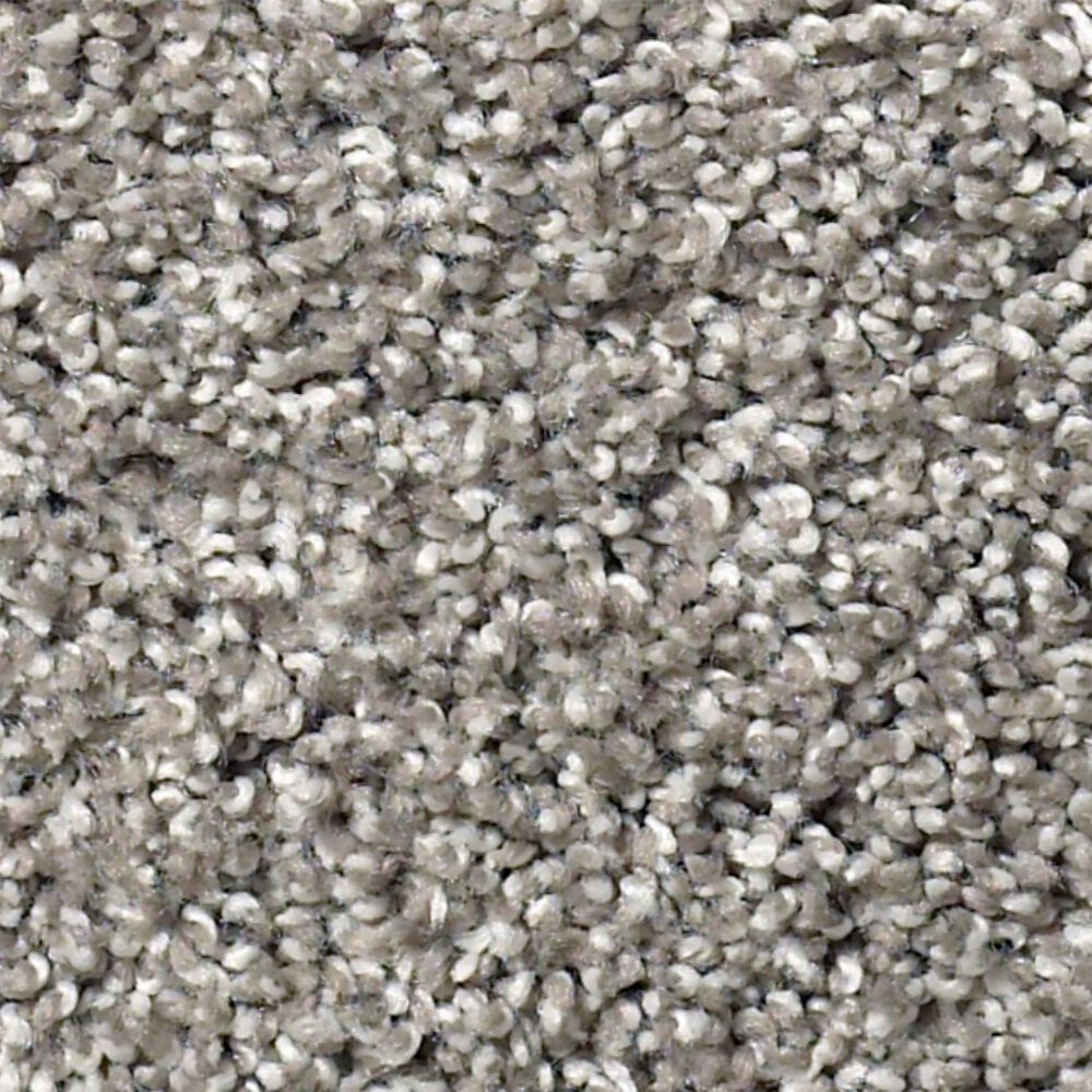 Philadelphia Suave Carpet in Tree Trunk , , large
