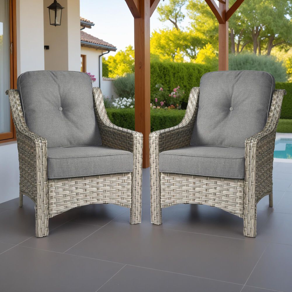 HOMLUX Outdoor Arm Chair in Dark Gray (Set of 2), , large