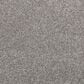 Mohawk Luxuriant Feel Carpet in Shilling, , large