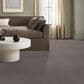 Anderson Tuftex Luxe Feel I Carpet in Pacific, , large