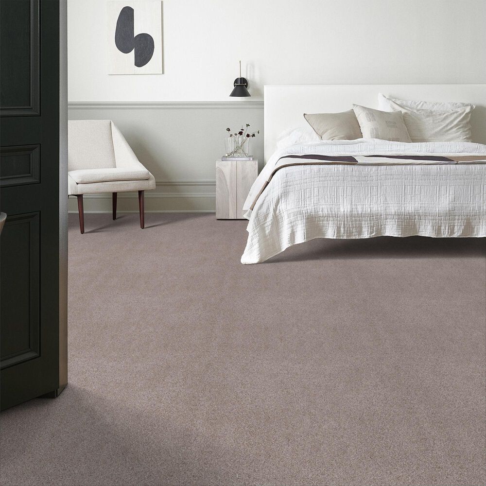 Anderson Tuftex Sumptuous II Carpet in Patio Stone, , large