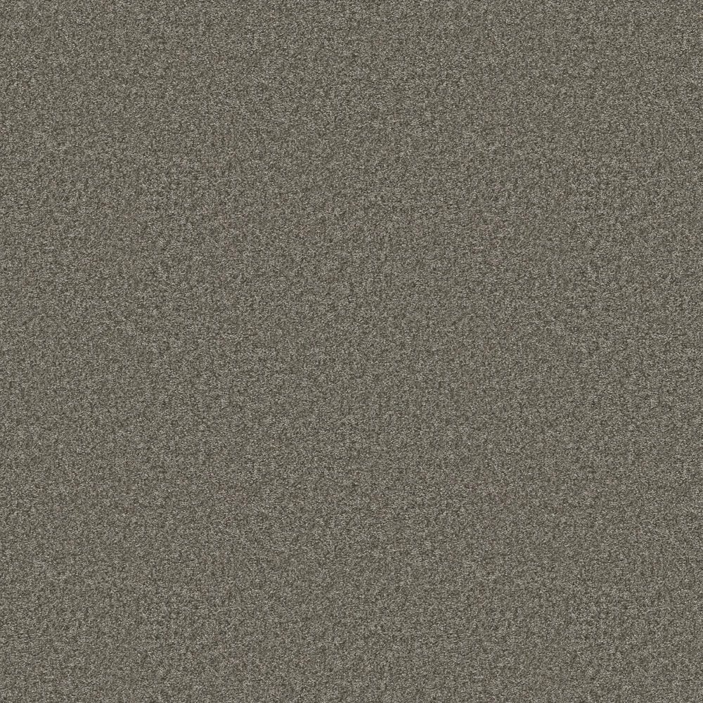Shaw You Got This II Carpet in Rerooted Nature, , large