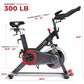 Sunny Health & Fitness Premium Smart Magnetic Belt Drive Indoor Cycling Exercise Bike in Grey, , large