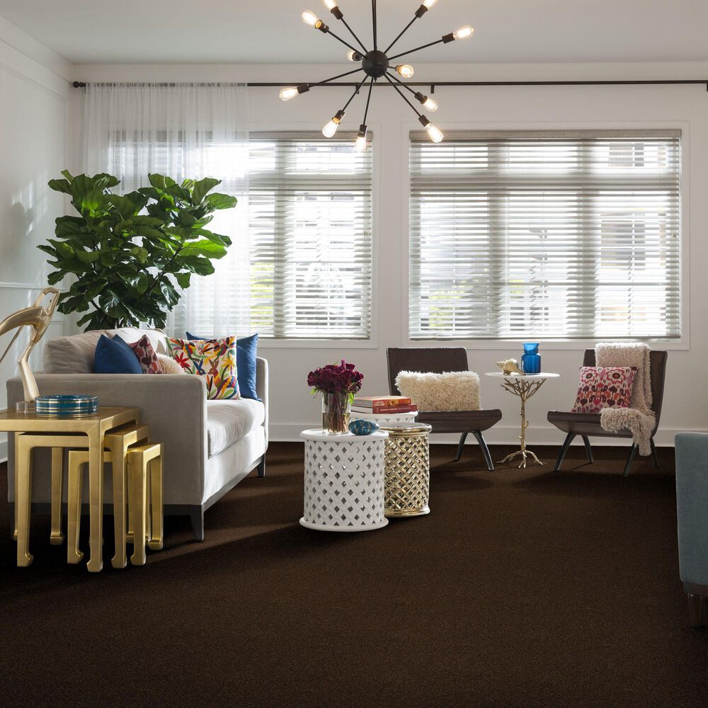 Shaw Find Your Comfort NS Blue Carpet in Chocolate Treat, , large