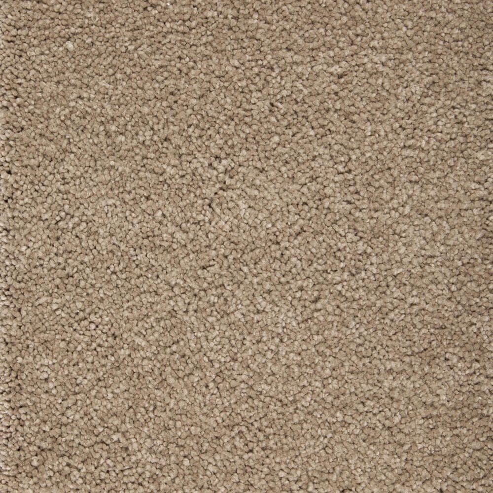 Mohawk Pleasant Touch Carpet in Tudor Brown, , large